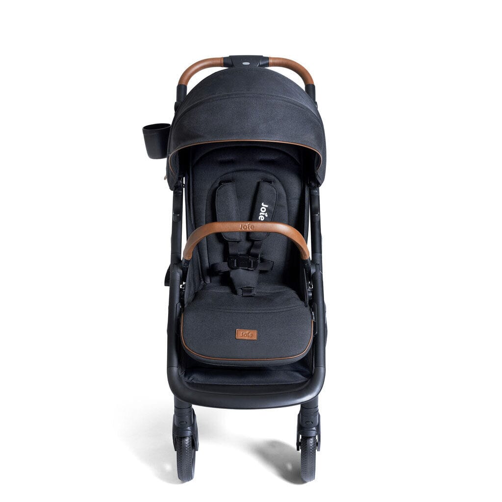 Joie Baby Caraway Whirl and Mint Latch