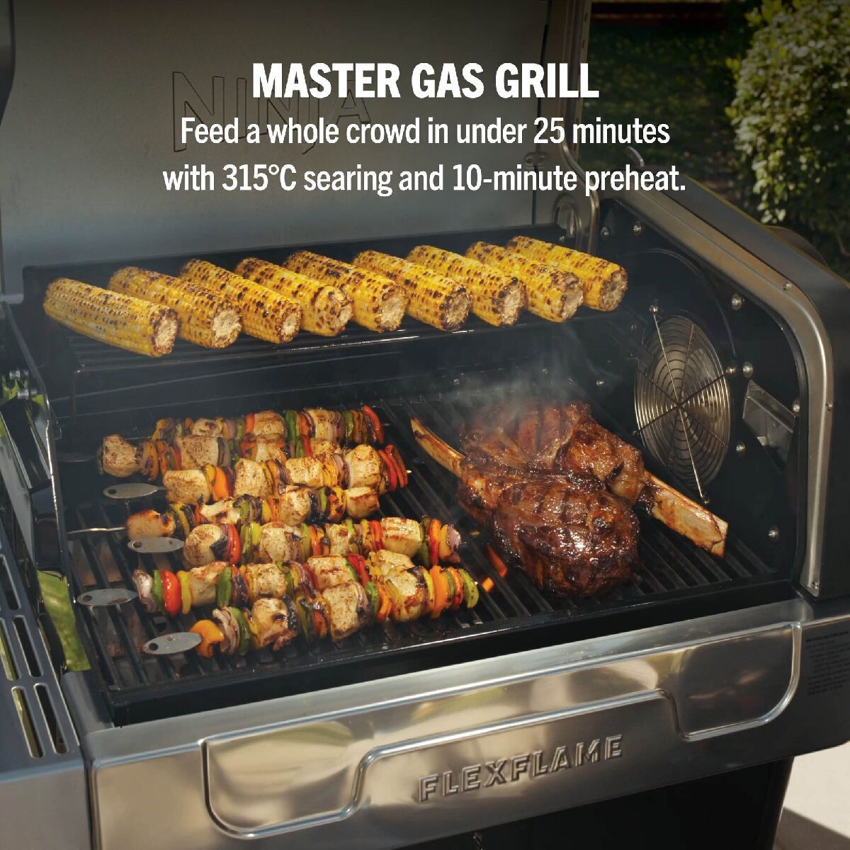 Ninja PG301UK FlexFlame Gas BBQ & Outdoor Cooking System Black Silver