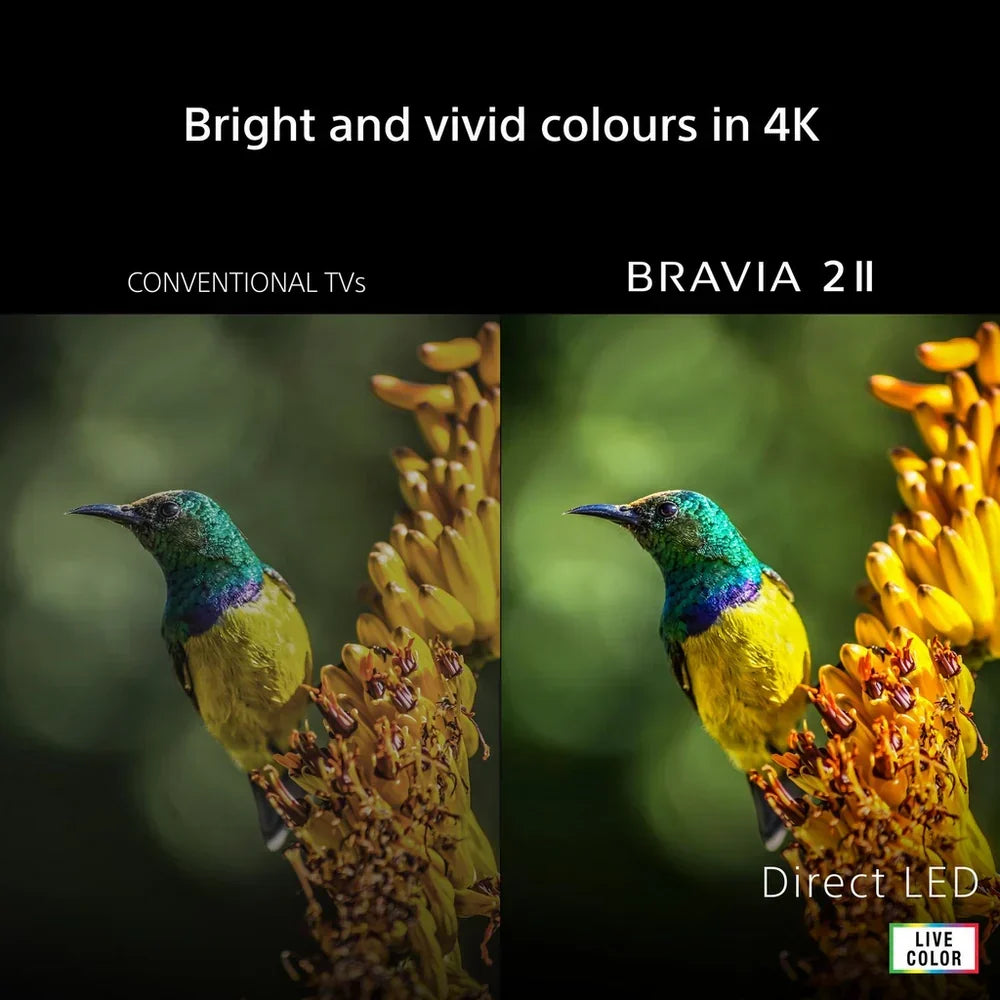 Sony K75S25M2PB 75 Inch BRAVIA 2 II Direct LED 4K Ultra HD HDR Smart Google TV 2026