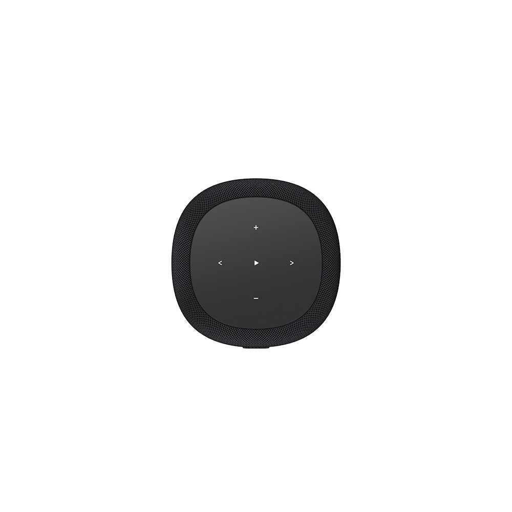 WiiM Sound Lite Wireless Multiroom Smart Speaker - Black