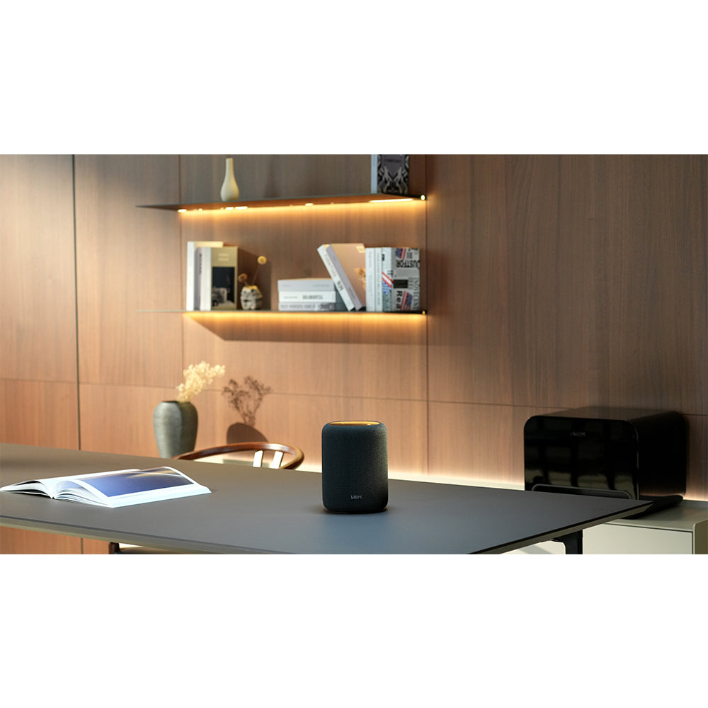 WiiM Sound Lite Wireless Multiroom Smart Speaker - Black