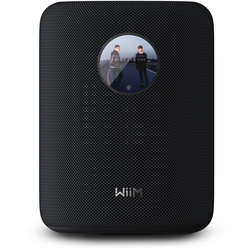 WiiM SOUND Wireless Multiroom Smart Speaker PAIR with Display - Black