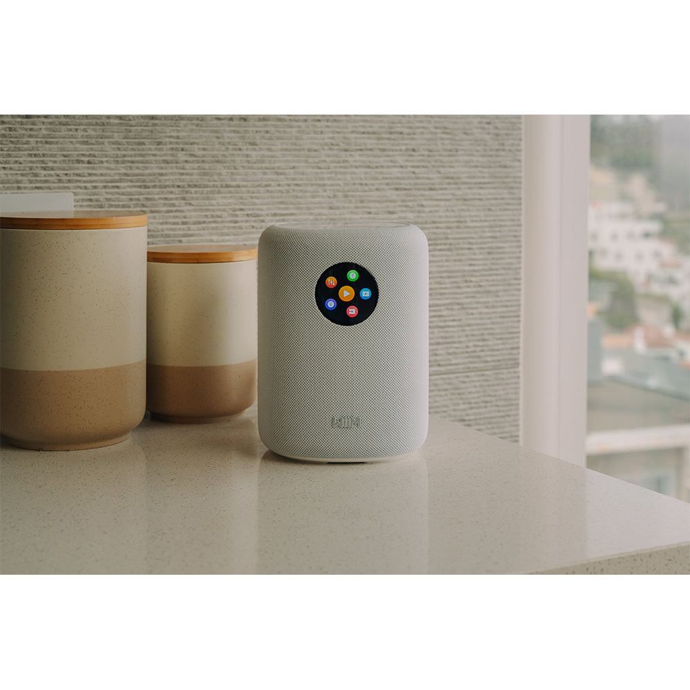 WiiM SOUND Wireless Multiroom Smart Speaker with Display - White