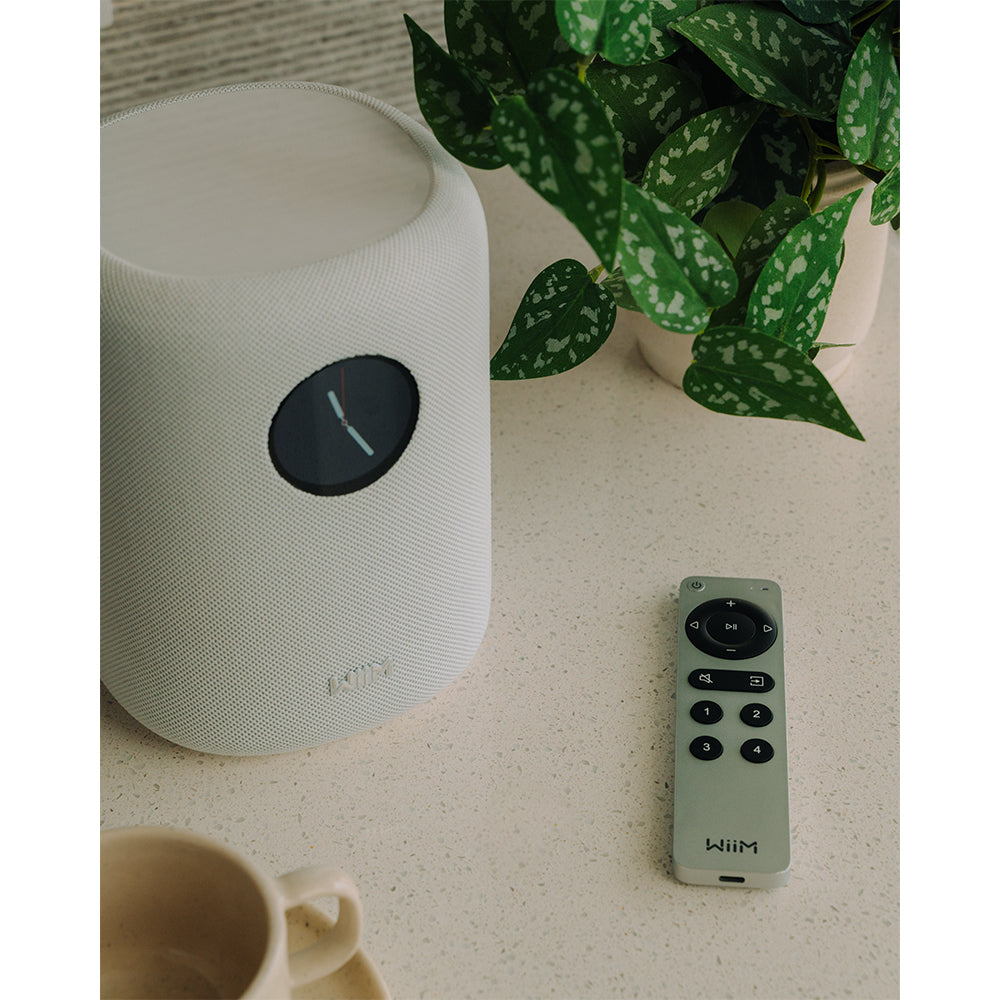 WiiM SOUND Wireless Multiroom Smart Speaker with Display - White