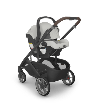 UPPAbaby Cruz V3 Stroller