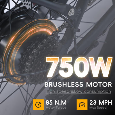 Garvee Beach Electric Cycle, 750W Brushless Motor, 26" Mountain Bike for Adults, 48V/16Ah Removable Battery, Max Speed 32 Miles/Hour, Use Larger Size Display,7 Gears e-Bike,4 Modes