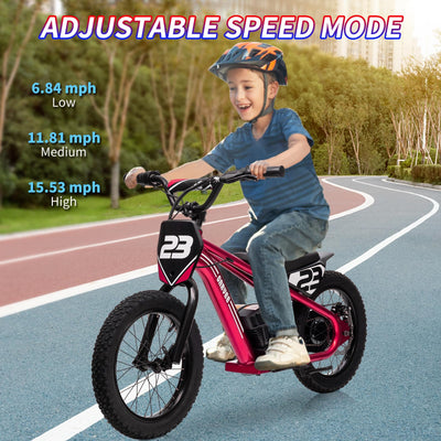 Garvee Ride - G Series: 16 Inch Kids Electric Balance Bike 250W Motor 3 Speed Settings Aluminum Frame Detachable Battery Off-Road Tires for Ages 6-12 Outdoor Adventure