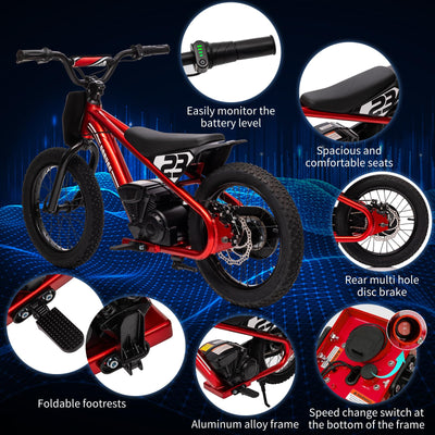 Garvee Ride - G Series: 250W Motor 3-Speed 24V Detachable Battery Aluminum Frame 16IN Off-Road Tires Ages 6-12 Outdoor Riding
