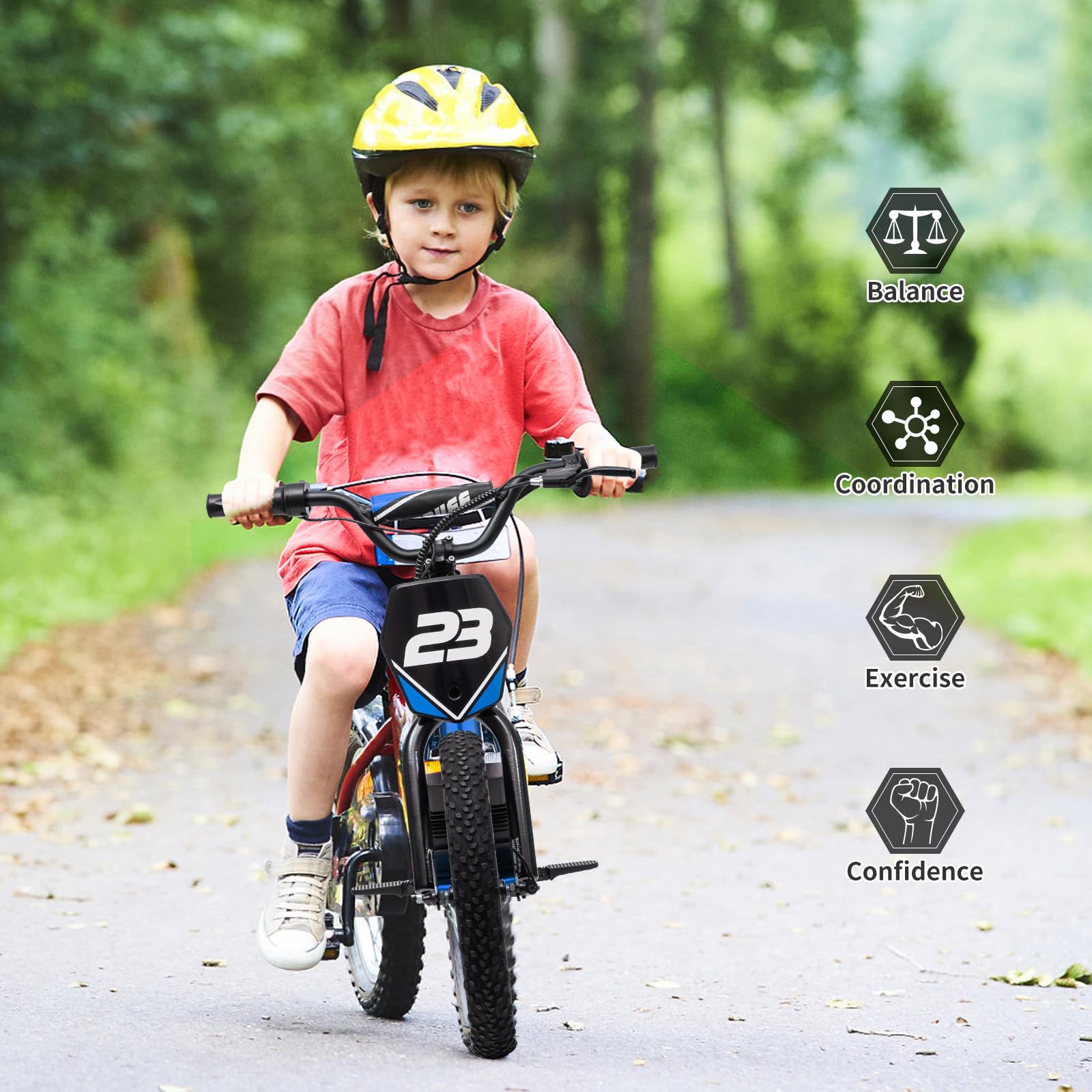 Garvee Ride - G Series: 250W Motor 3-Speed Aluminum Frame 16" Off-Road Tires Detachable Battery Outdoor Adventure