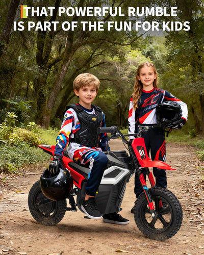 Garvee 24V Electric Dirt Bike 350W Motor 10MPH Speed Key Start Hand Brake 12" Fat Tires Dual Suspension Kids Outdoor Riding