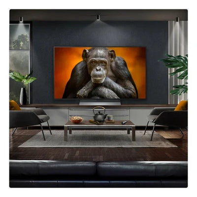 LG OLED48G56LS 48 Inch OLED Evo AI G5 4K Ultra HD HDR Smart TV
