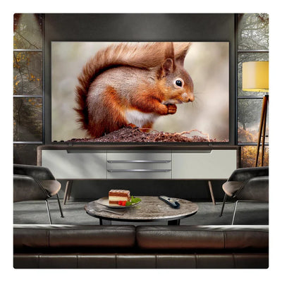 LG OLED83B56LA 83 Inch OLED AI B5 4K Ultra HD HDR Smart TV