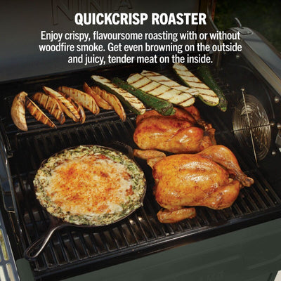Ninja PG301UKGN FlexFlame Gas BBQ & Outdoor Cooking System Green