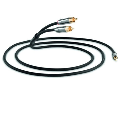 QED QE6501 Performation J2P Jack to Phono 3M Cable in Graphite