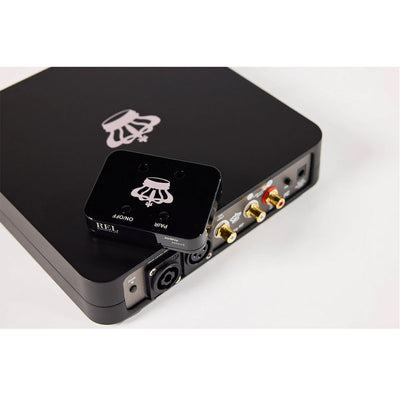REL Airship Direct Wireless Transmitter Kit