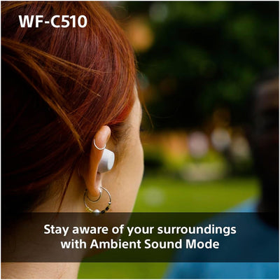 Sony WF-C510 True Wireless Bluetooth In Ear Headphones Blue
