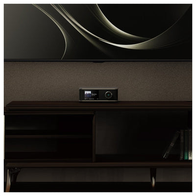 WiiM AMP ULTRA 100W High-Performance Streaming Amplifier Silver