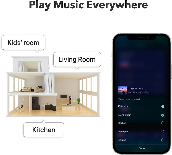 WiiM Pro Plus Audiophile Grade Multi-Room Music Streamer