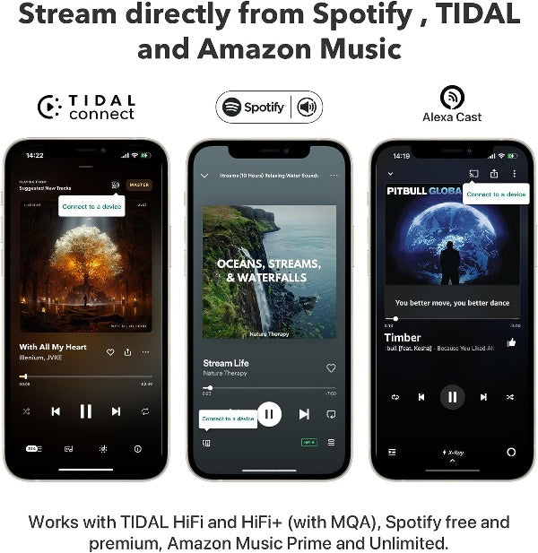 WiiM Pro Plus Audiophile Grade Multi-Room Music Streamer
