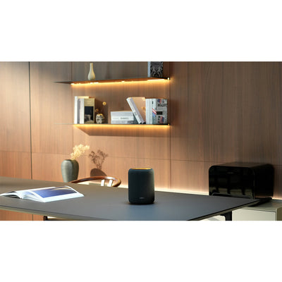 WiiM Sound Lite Wireless Multiroom Smart Speaker - Black