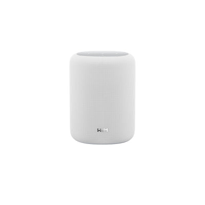 WiiM Sound Lite Wireless Multiroom Smart Speaker - White