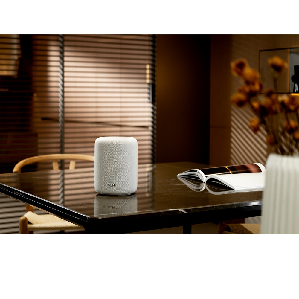 WiiM Sound Lite Wireless Multiroom Smart Speaker - White