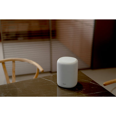 WiiM Sound Lite Wireless Multiroom Smart Speaker - White