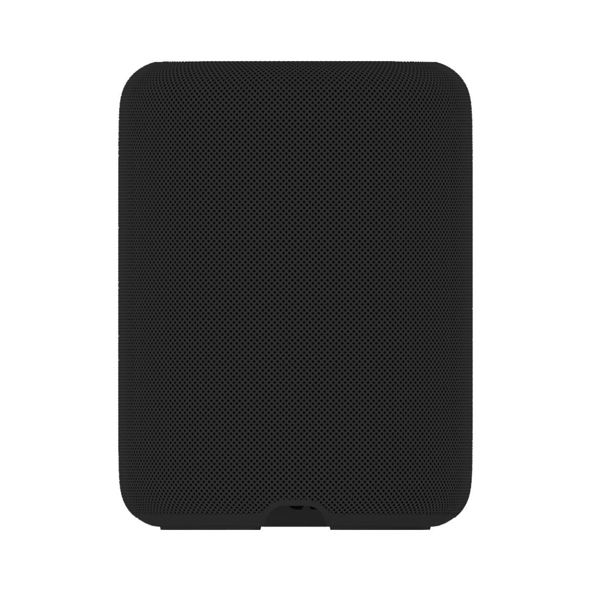 WiiM Sound Lite Wireless Smart Speaker with WiiM NorStone Floor Stand (Single) - Black