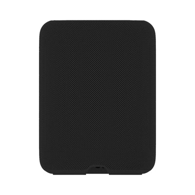 WiiM Sound Lite Wireless Smart Speaker with WiiM NorStone Floor Stand (Single) - Black