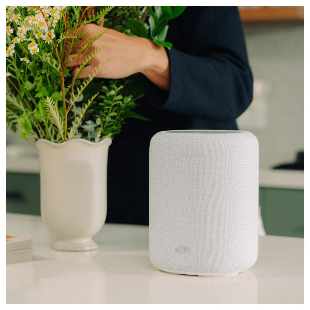 WiiM Sound Lite Wireless Smart Speaker with WiiM NorStone Floor Stand (Single) - White