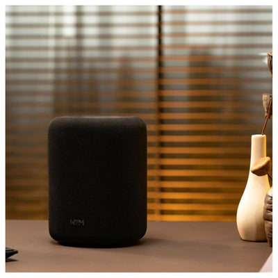 WiiM Sound Lite Wireless Smart Speaker with WiiM NorStone Wall Mount (Single) - Black
