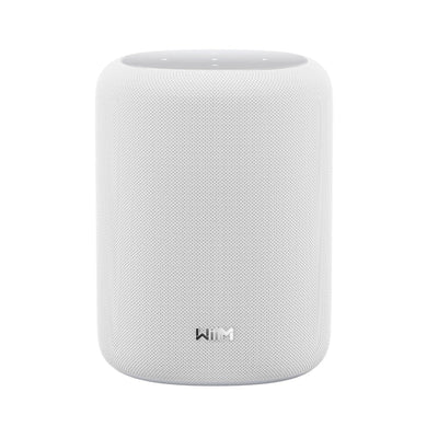 WiiM Sound Lite Wireless Smart Speaker with WiiM NorStone Wall Mount (Single) - White