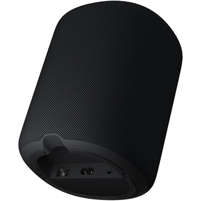 WiiM Sound Wireless Smart Speaker with WiiM NorStone Floor Stand (Single) - Black