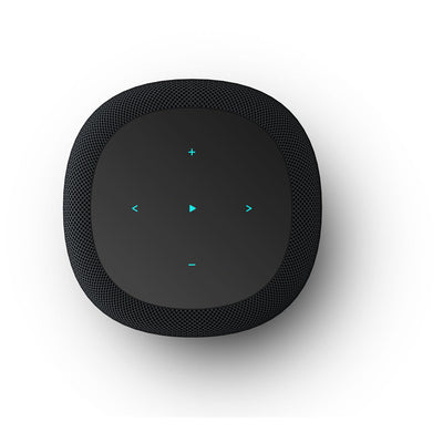 WiiM Sound Wireless Smart Speaker with WiiM NorStone Floor Stand (Single) - Black