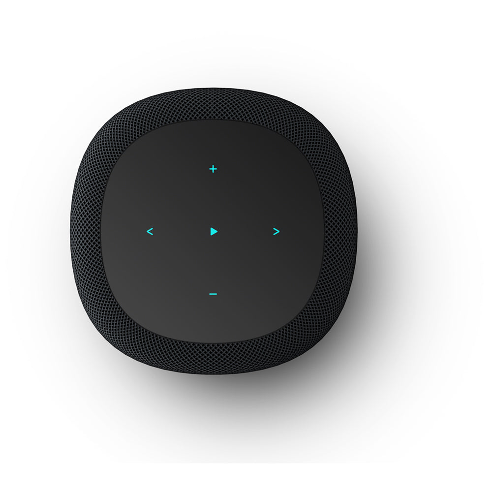 WiiM Sound Wireless Smart Speaker with WiiM NorStone Wall Mount (Single) - Black