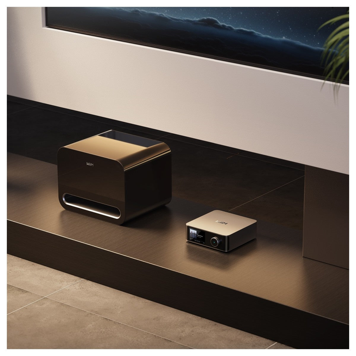 WiiM Sub Pro 8 Inch 250W Wireless Smart Subwoofer with Wi-Fi & Bluetooth - Black