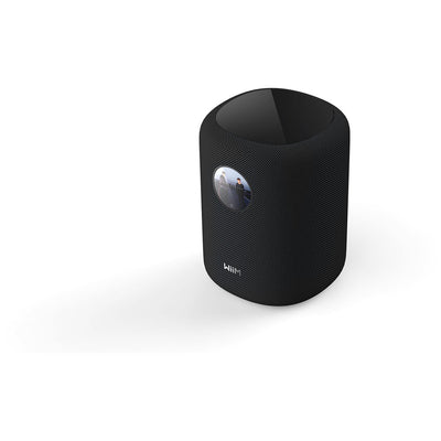 WiiM Sub Pro Wireless Subwoofer with WiiM SOUND Wireless Multiroom Smart Speakers Pair - Black